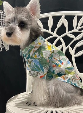 夏季薄款狗狗碎花网红衬衫泰迪狗衣服泰迪雪纳瑞猫咪小型犬防掉毛