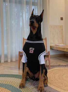 大型犬狗狗衣服薄款杜宾透气假两件篮球服大狗衣服夏季金毛狗衣服