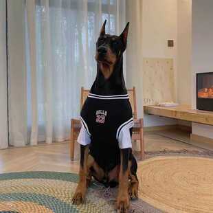 大型犬狗狗衣服薄款杜宾透气假两件篮球服大狗衣服夏季金毛狗衣服