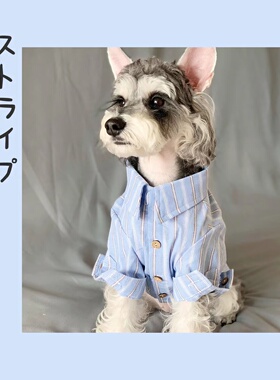 狗狗衣服日系春秋款泰迪雪纳瑞比熊宠物猫咪衬衫夏季薄款防掉毛