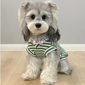 狗狗衣服V领背心纯棉弹力秋款 雪纳瑞泰迪比熊小型犬宠物猫咪衣服