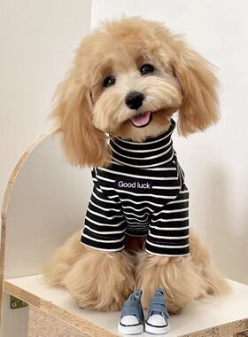 秋冬宠物泰迪雪纳瑞条纹保暖衣狗狗德绒打底衫马尔济斯比熊约克夏