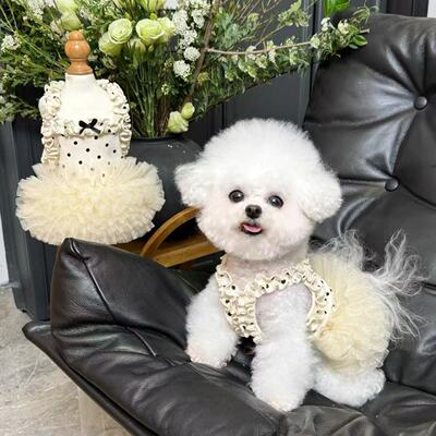 宠物薄款透气碎花飞袖公主裙