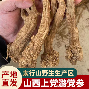 【真野生】正宗野生潞党参500g特级大条15年上党党参深山采挖中药