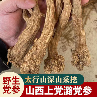 【真野生】正宗野生潞党参250g特级大条15年上党党参深山采挖中药