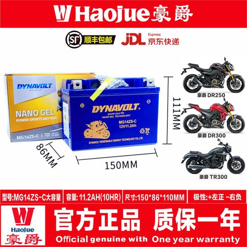 顺丰包邮铃木250豪爵300电瓶猛狮