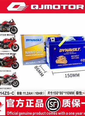 钱江追350追600赛250赛350赛400赛550S赛600逸550骁500闪300电瓶