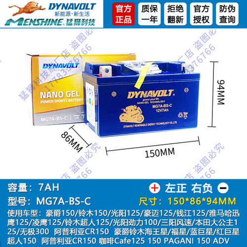 比亚乔ZIP100淑女BYQ100T-E/BYQ125T/50QT-V银帅100都市印象电瓶