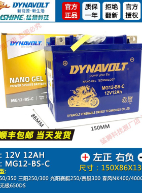 台荣GP1GP2 TR200 TR400探路者TR300T龙嘉V途VMAX300猛狮电瓶