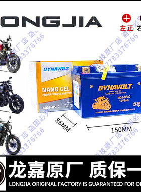 龙嘉V咖250i V霸V途250 VMAX300ie维多利亚300 150 XDV250电瓶