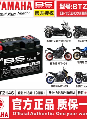 适用雅马哈NMAX155 NVX155巧格i125 XMAX300 MT03 R3 R25电瓶电池