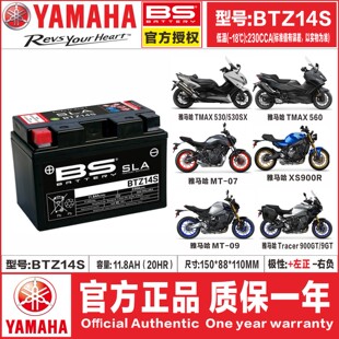 适用雅马哈NMAX155 NVX155巧格i125 XMAX300 MT03 R3 R25电瓶电池