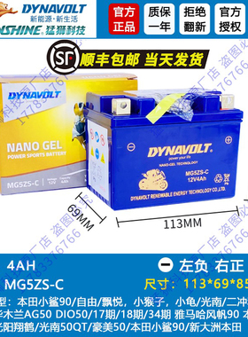 嘉陵CoCo幼兽JL110-17 光南50QT CUB110 50 宗申Yami洛嘉后浪电瓶