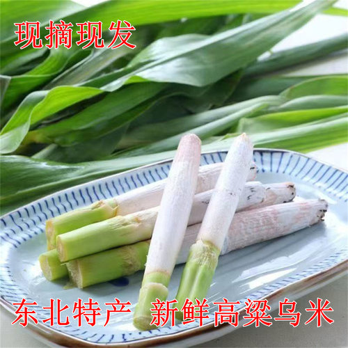 高粱乌米新鲜现摘头茬带皮乌苠菌