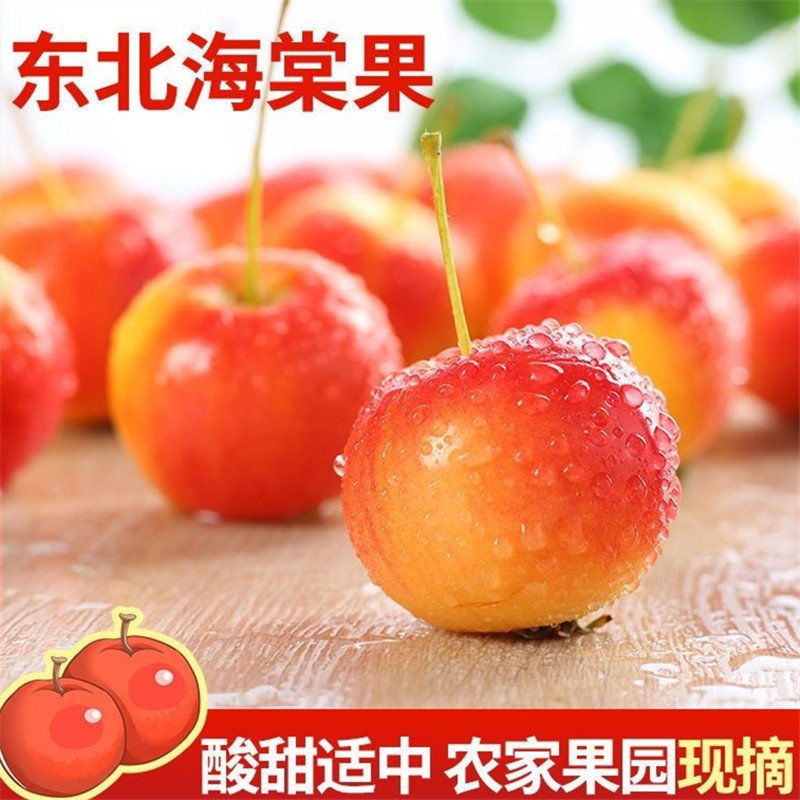 东北海棠果沙果酸甜爽口新鲜水果当季应季沙果东北甜酸沙果产地发