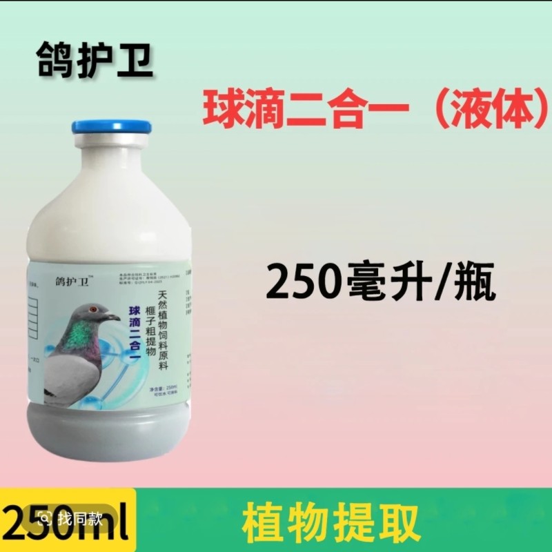 鸽子药呼吸道鸽药毛滴虫