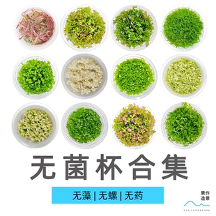 无菌杯买二送一水草前中后景新手无藻无螺牛毛挖耳日本矮珍珠懒人