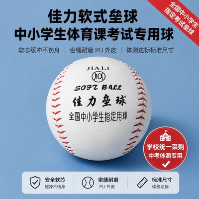 垒球小学生专用三年级10寸12寸棒球训练球中考标准运动会比赛投掷