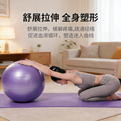 瑜伽球健身球普拉提球孕妇助产大龙球儿童感统训练加厚防爆平衡球