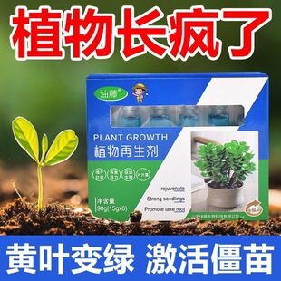 植物再生剂营养液通用型绿植花卉盆栽家庭园艺肥料