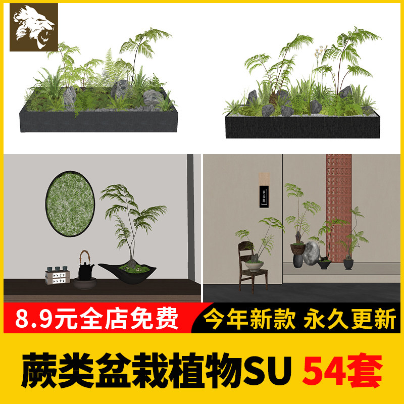 蕨类盆栽植物SU模型库景观庭院园林小品绿植组合sketchup草图大师
