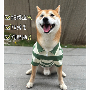 柴犬雪纳瑞泰迪夏装 狗狗夏季 衣服薄款 透气宠物纯棉POLO衬衫 防掉毛