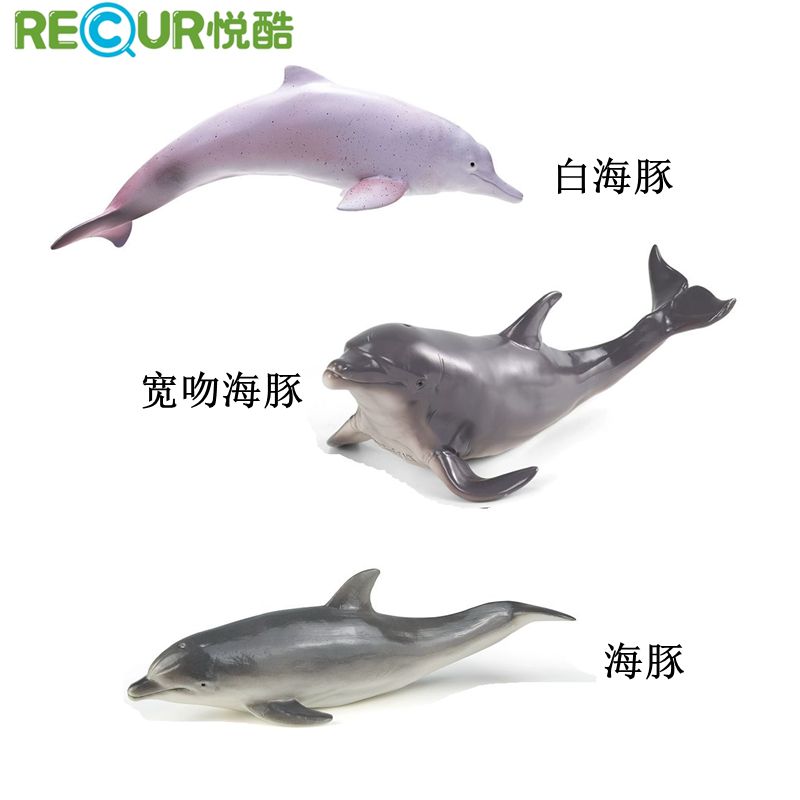 RECUR悦酷白海豚玩具模型软胶仿真海洋动物手办男女孩儿童礼物