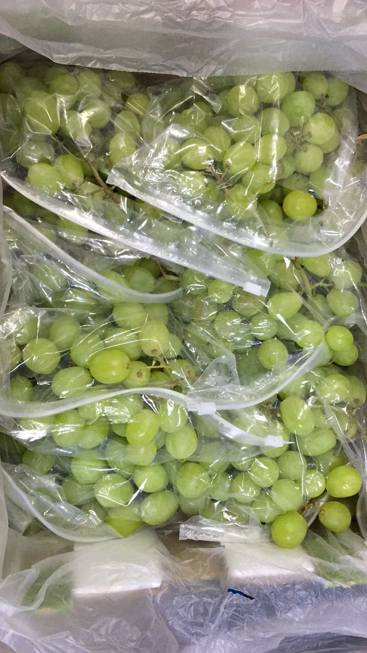 进口新鲜水果 美国无籽青提 绿提子 葡萄9斤装,江浙沪包邮