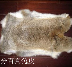 兔子皮 优质！ 整张兔皮草 真皮 白 灰色 黑 草黄家兔皮獭兔皮