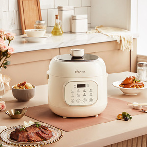 小熊（Bear）YLB-A20X2电压力锅2L 高压锅家用多功能高压快煮智能