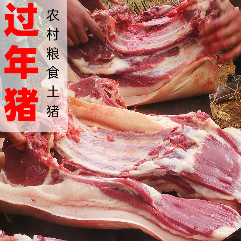 贵州毕节赫章县农村土猪过年猪整头粮食猪不喂合成饲料的农家土猪