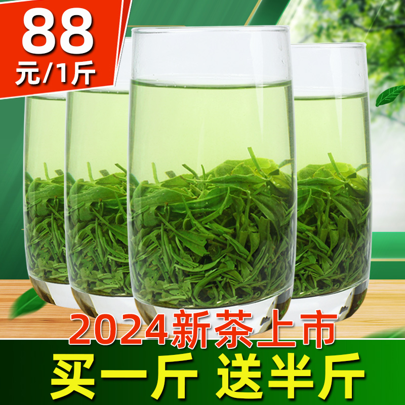 信阳毛尖2024新茶浓香型散装750g