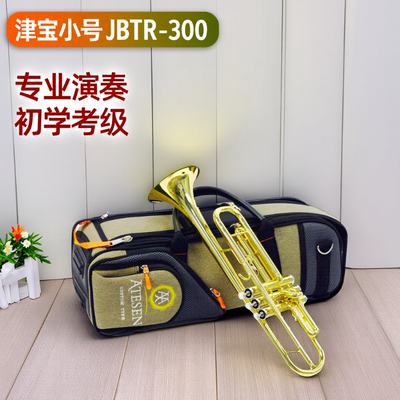 ATESEN阿特森小号乐器箱包软包