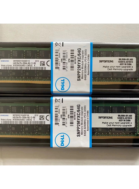 DELL AA810828 SNPP2MYXC/64G 64GB 2RX4 3200AA REG 服务器内存