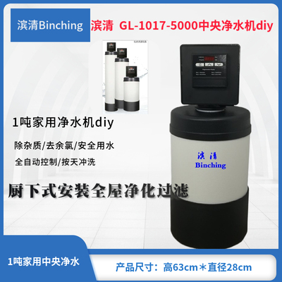 滨清GL-1017-5000FT家用中央净水机 1吨厨下式过滤器 时间型 diy