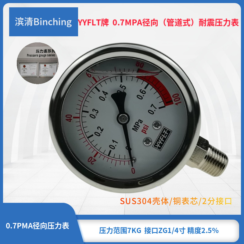 不锈钢外壳纯水机耐震压力表