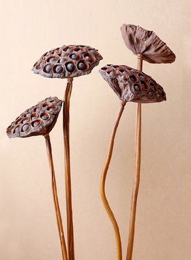 复古真杆莲蓬 满10送1 特大饱满带籽中国风禅意优雅客厅玄关装饰