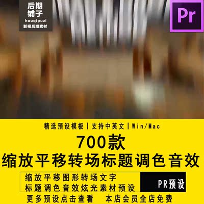PR转场插件模板缩放平移图形转场文字标题调色音效炫光素材预设