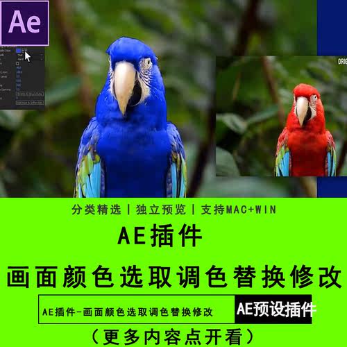 AE中文AE插-画面颜色选取调色替换修改插件预设短视频素材