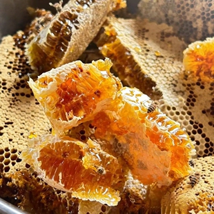 云南怒江特产 峡谷蜂蜜 土蜂蜜500克 纯蜂蜜 成熟结晶蜜 包邮