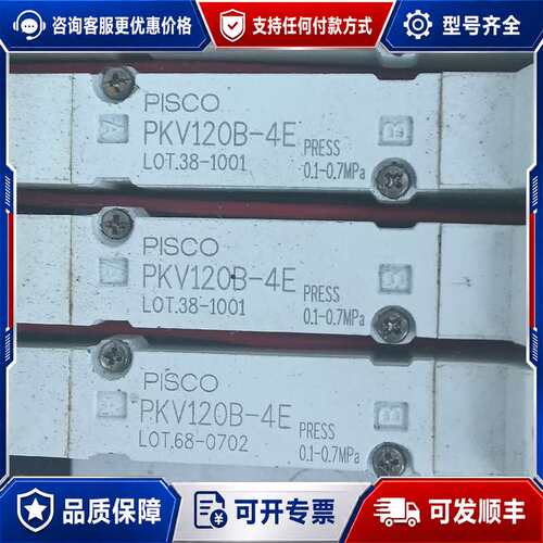 议价P1SC0：双头电磁阀：PKV120B-4E可维修