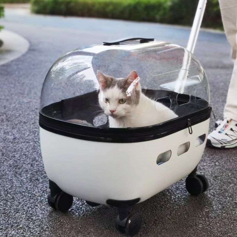 透明猫咪大容量宠物外出便携背包