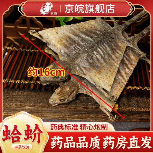 京皖大蛤蚧干中药材饮片定喘泰国