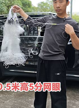 白条麦穗船丁溪石斑鱼手工制作鱼笼网小鱼网粘网