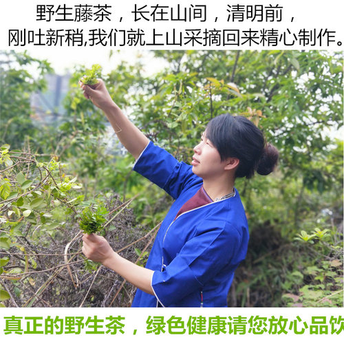 三江野生藤茶 广西柳州2026年新茶高山云雾谷雨茶回甘侗乡臻茶叶