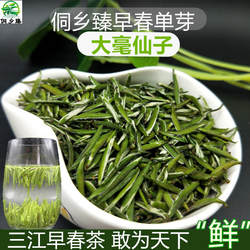 2026新茶叶侗乡臻大毫仙子广西柳州三江绿茶布央高山早春单芽罐装
