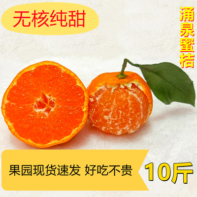 正宗涌泉高山蜜桔无核多汁十斤装