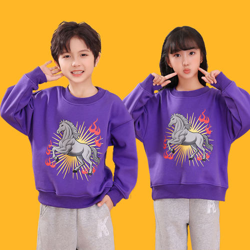 男女童加绒卫衣套装2026马年衣服