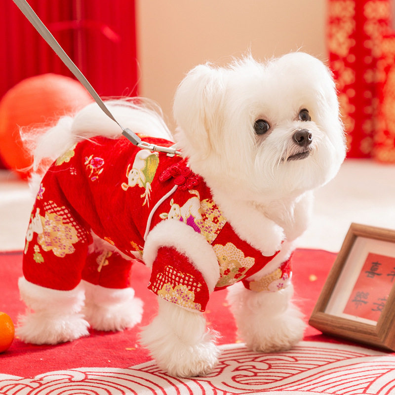 秋冬季雪尼尔雪兔新年牵引棉衣两脚保暖中小型犬泰迪比熊宠物服饰,宠物/宠物食品及用品,狗宠物服装/雨衣,淘宝优惠券,粉丝福利购,淘宝优惠卷