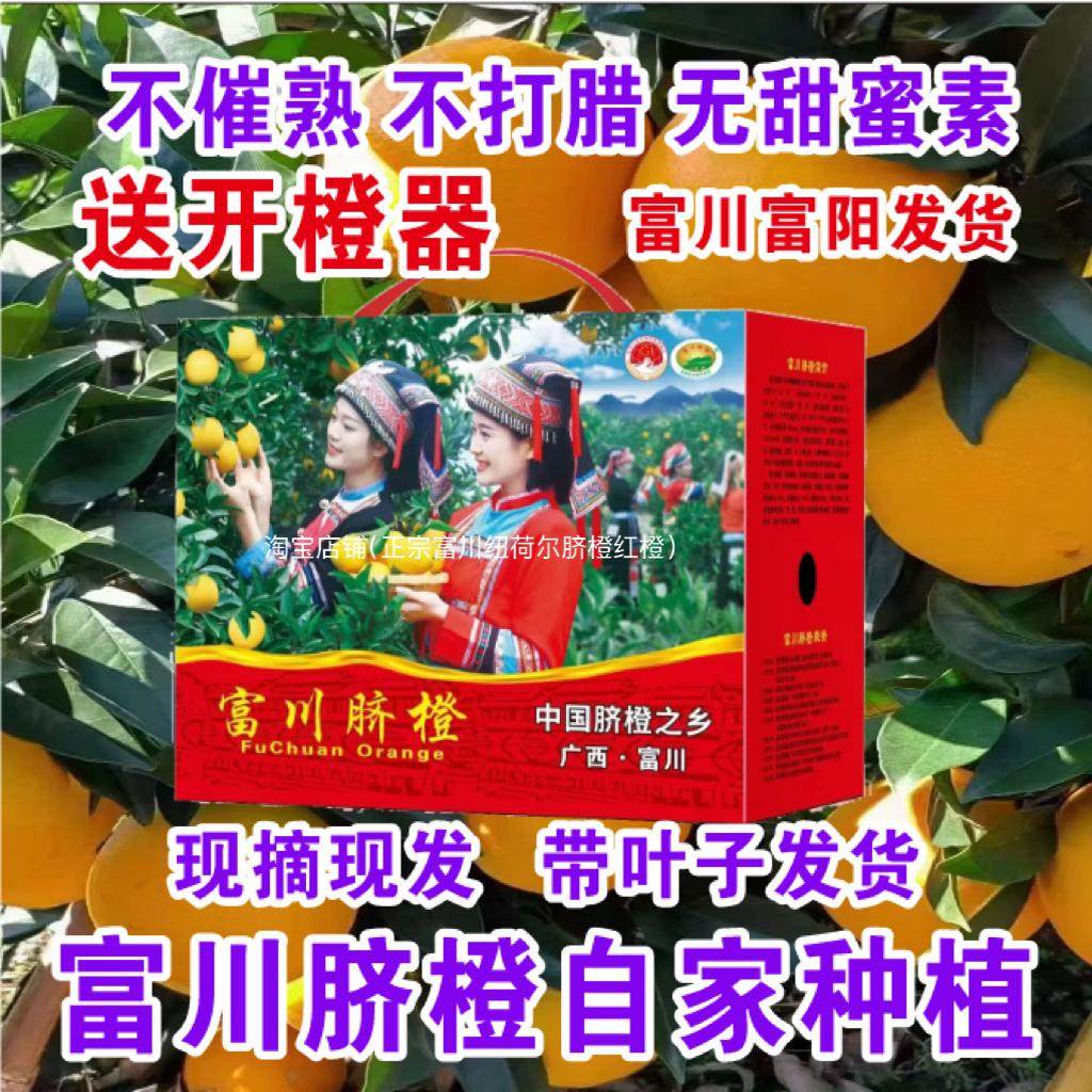 现摘现发广西新鲜水果富川脐橙